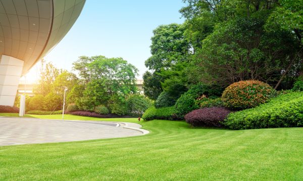 Commercial Lawn Care in Orange Park