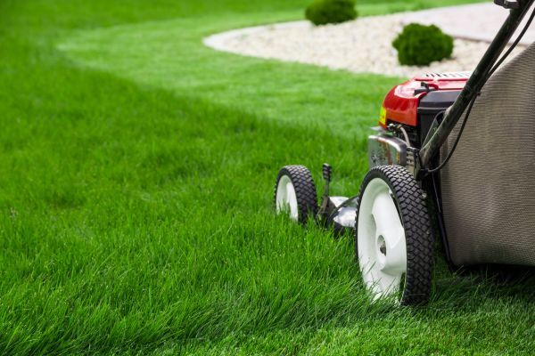 Lawn Cutting Service in Orange Park