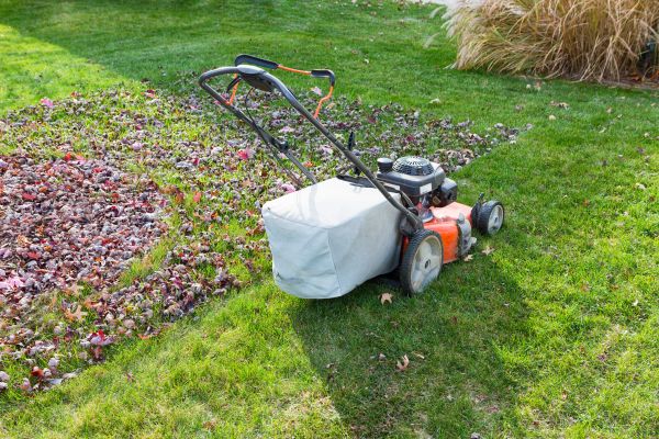 Seasonal Lawn Care in Orange Park