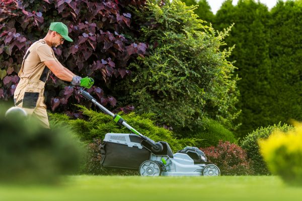 Lawn Management in Orange Park