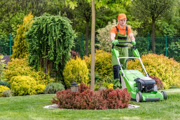 Commercial Yard Maintenance in Orange Park