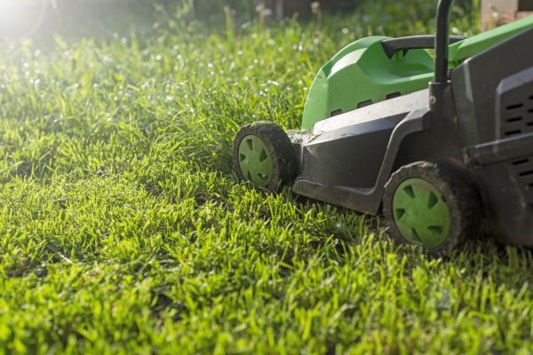 Lot Mowing in Orange Park