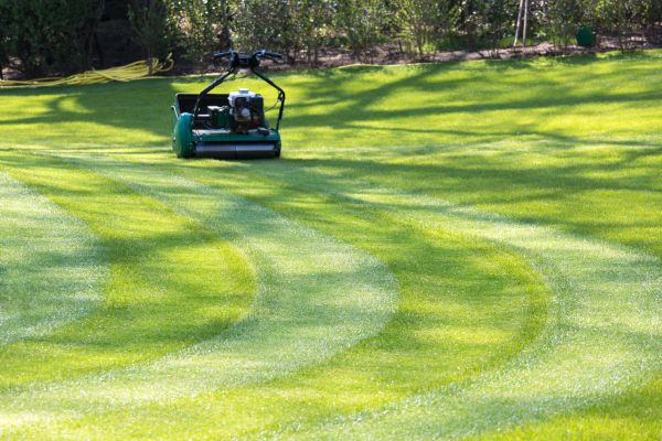 Business Lawn Mowing in Orange Park