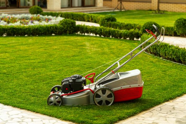 Business Grass Cutting in Orange Park