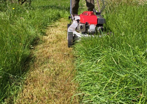 Leaf Mowing in Orange Park