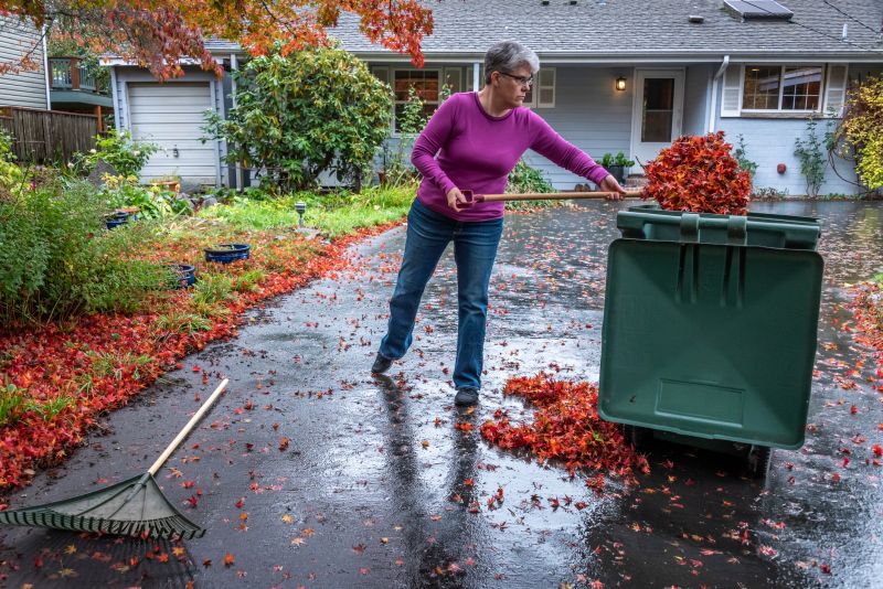 Fall Landscape Care